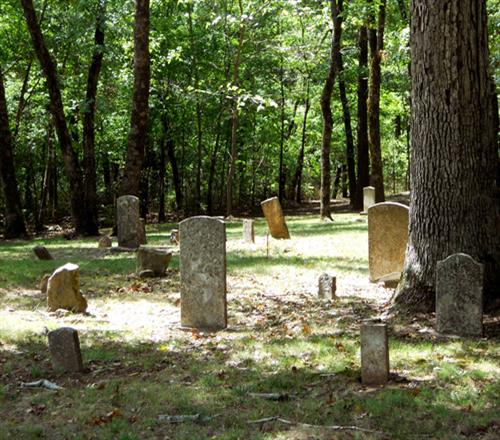 headstones in forest