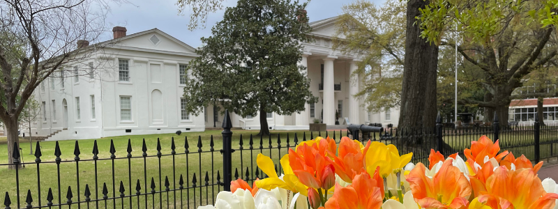 Old State House with Tulips